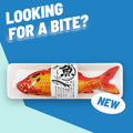 Fish Cat Toys