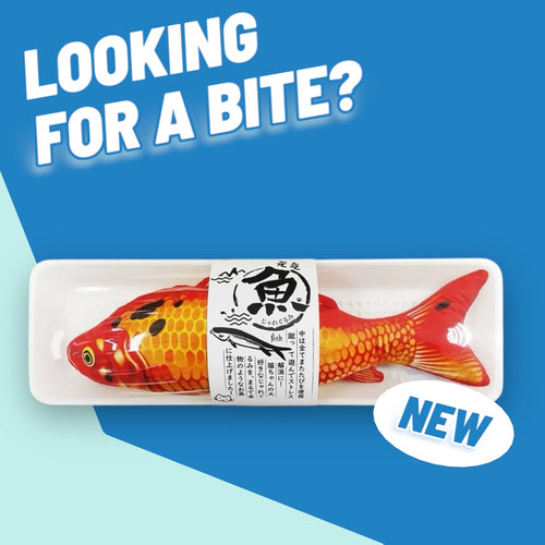 Fish Cat Toys