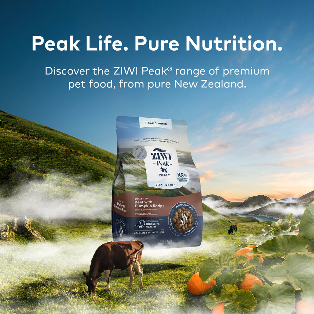 Ziwi Peak Steam Dried Cat Food 800g Beef with Southern Blue Whiting