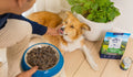 ZIWI Air Dried ChickenDog Food