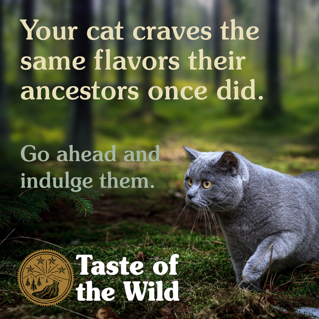 Taste of the Wild Canyon River Adult Cat Food — 2kg