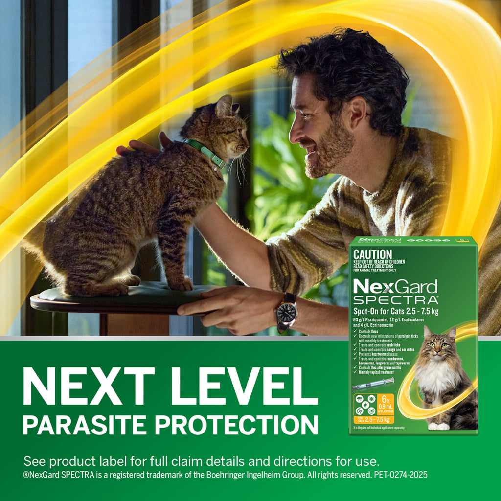 NexGard SPECTRA Spot-On for Large Cats 2.5 - 7.5kg (6-Pack)