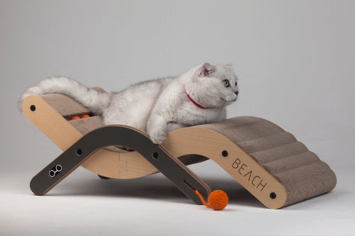 A white cat relaxing on the adjustable Nekono Beach Chair, showing the ergonomic lounge shape for cats.