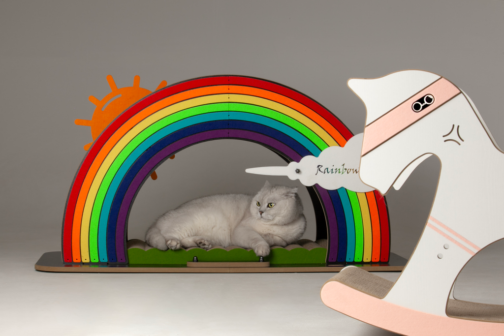 White cat peeking out from the shelter of the large arched Rainbow Bridge tunnel.