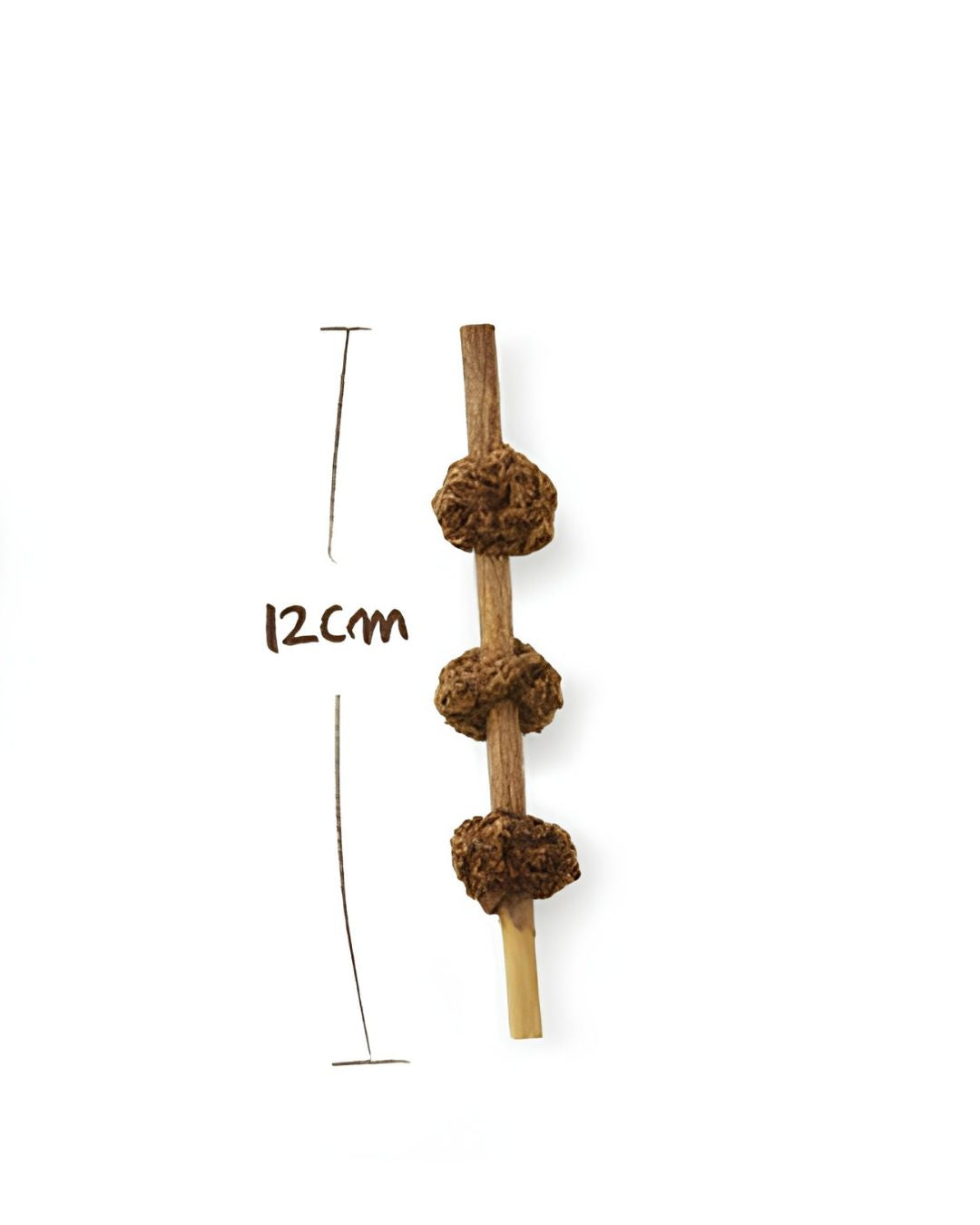 Cattem Kebab silvervine gall fruit cat toy size chart showing 12cm length