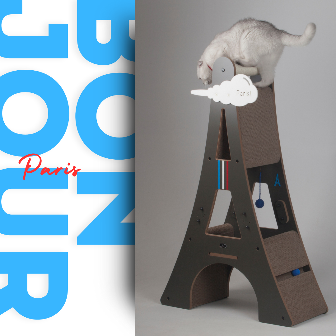 Cat standing on the top corrugated scratching platform of the Eiffel Tower scratcher with a Bonjour Paris graphic.