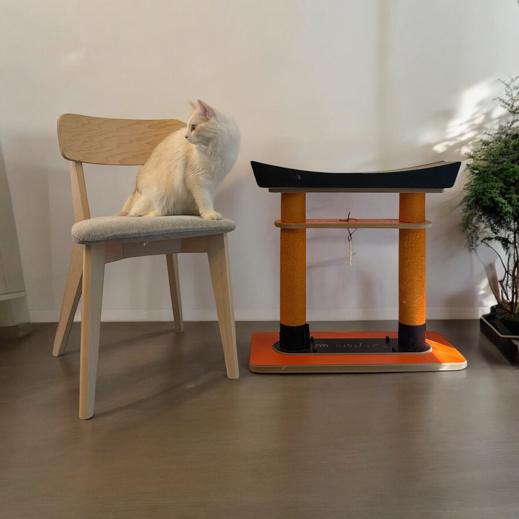 Lifestyle photo showing the 64.5cm tall Torii Cat Tree placed next to a dining chair for size reference, with a white cat.