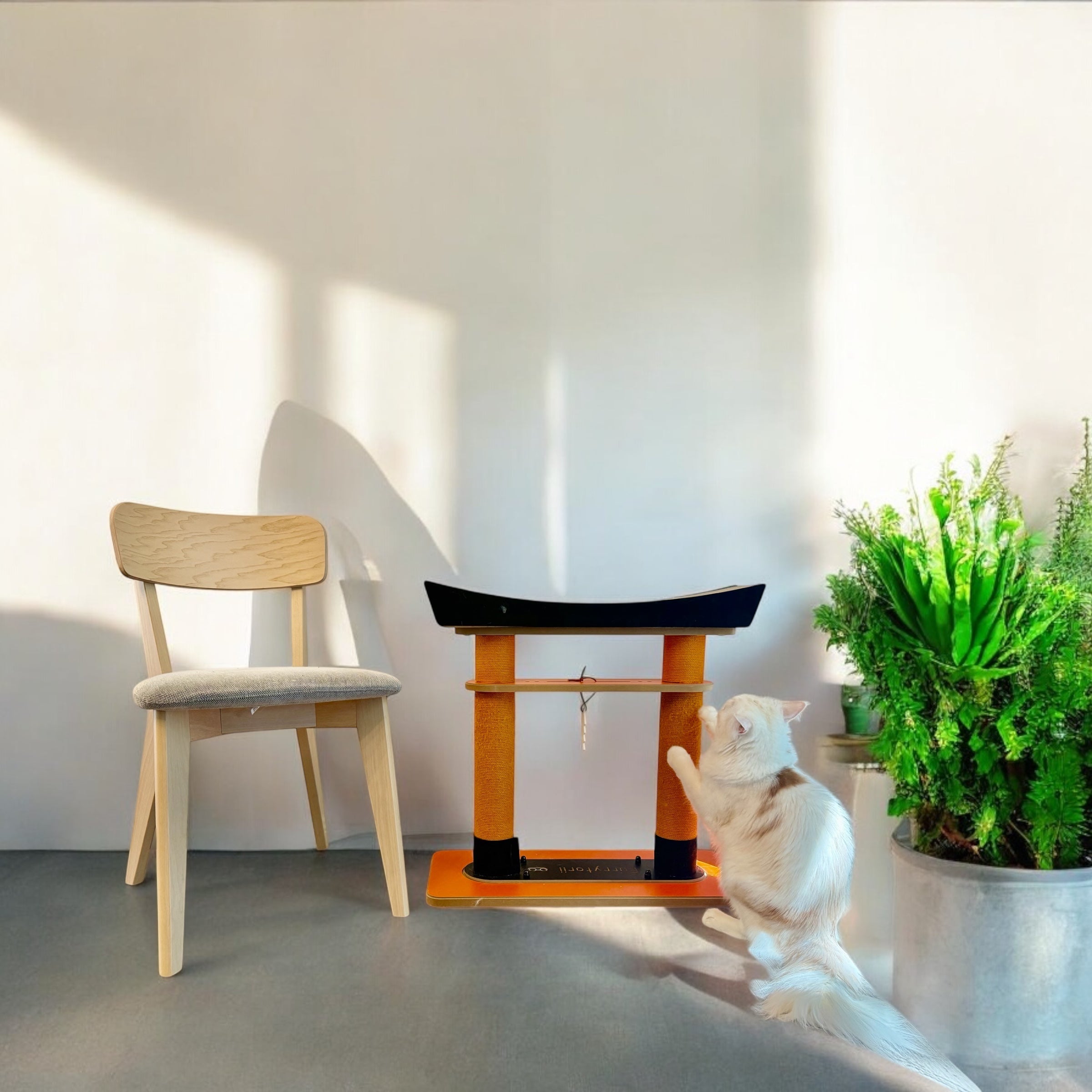 The Nekono Torii Cat Scratcher sitting in a sunlit living room next to a wooden chair, showcasing its elegant home decor fit.