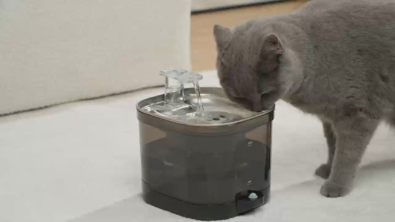 Nekono Aqua Pro II cat water fountain product video — cat drinking from wireless stainless steel fountain