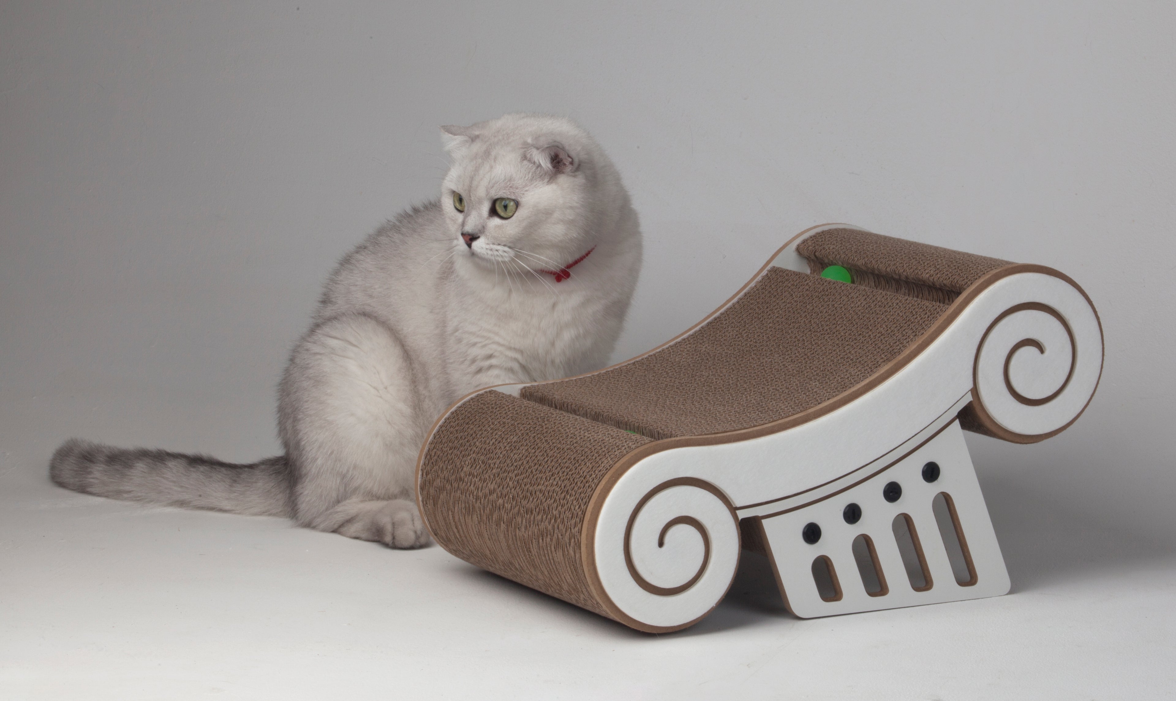 White cat looking at the green toy ball on the Nekono Athens Capital Cat Scratcher in a studio setting.