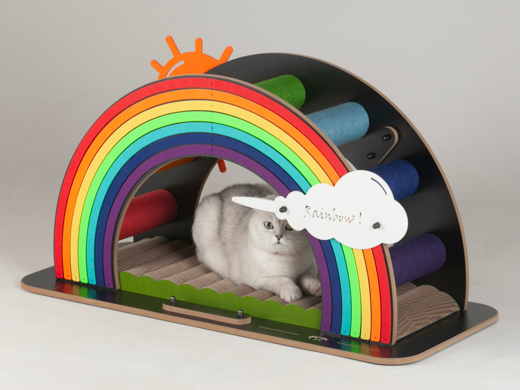White cat lounging comfortably in the shade under the vibrant rainbow arch